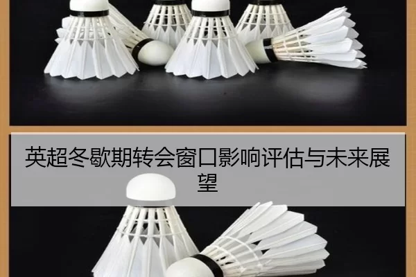英超冬歇期转会窗口影响评估与未来展望